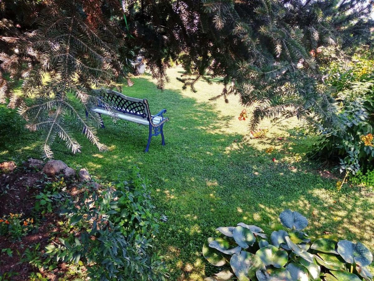Villa Axiothea Nemea Экстерьер фото